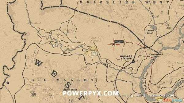 《荒野大镖客2》大灰熊图鉴一览