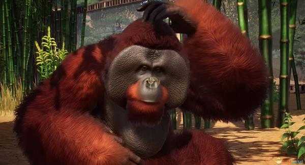 《动物园之星》动物的选择与收益分析