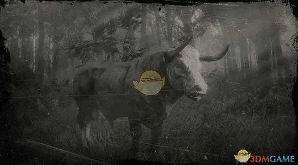 《荒野大镖客2》赫里福德公牛图鉴一览