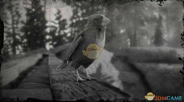 《荒野大镖客2》北美红雀图鉴一览