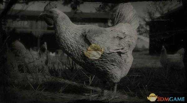 《荒野大镖客2》多米尼克鸡图鉴一览