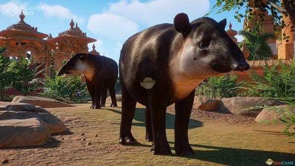 《动物园之星》全动物外观一览