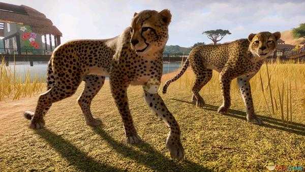 《动物园之星》全动物外观一览