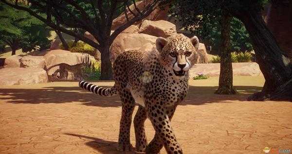 《动物园之星》全动物外观一览