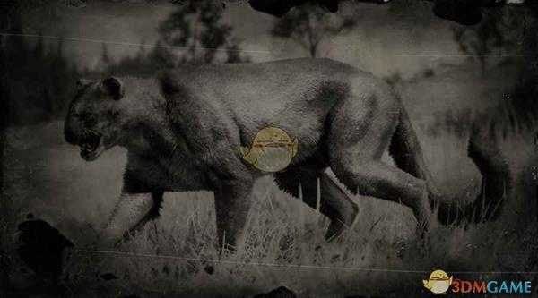 《荒野大镖客2》美洲狮图鉴一览