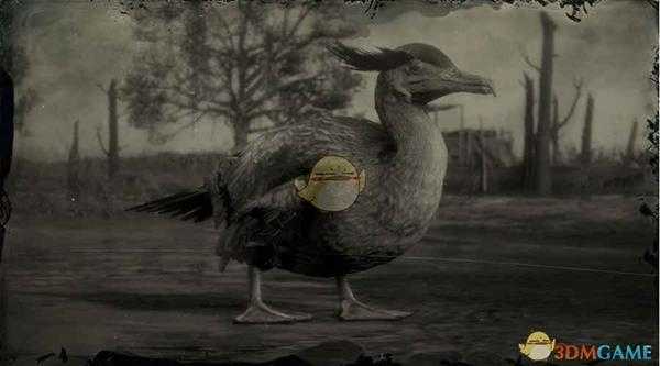 《荒野大镖客2》美洲鸬鹚图鉴一览