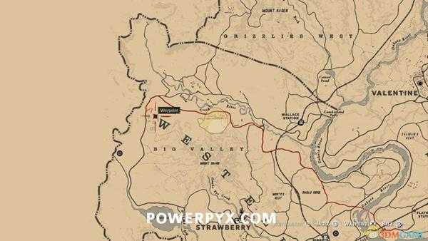 《荒野大镖客2》佛罗里达奶牛图鉴一览