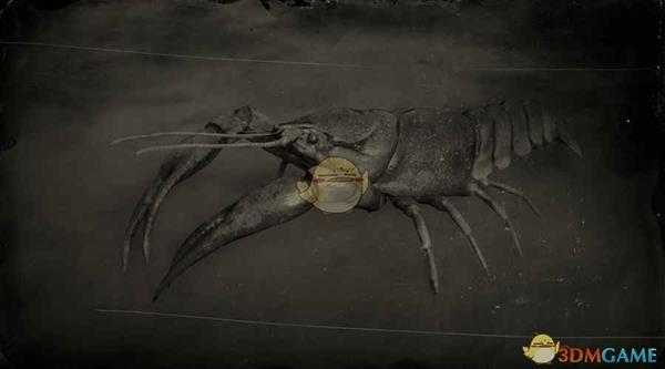 《荒野大镖客2》红沼泽小龙虾图鉴一览