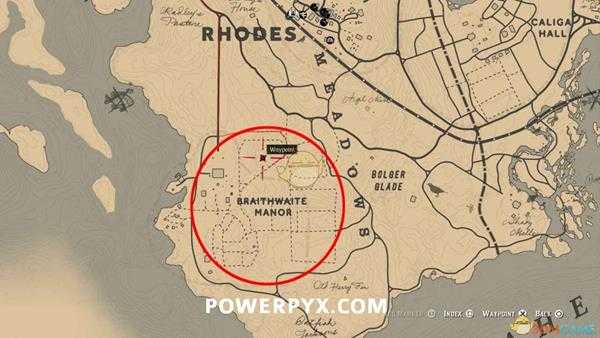 《荒野大镖客2》美洲乌鸦图鉴一览