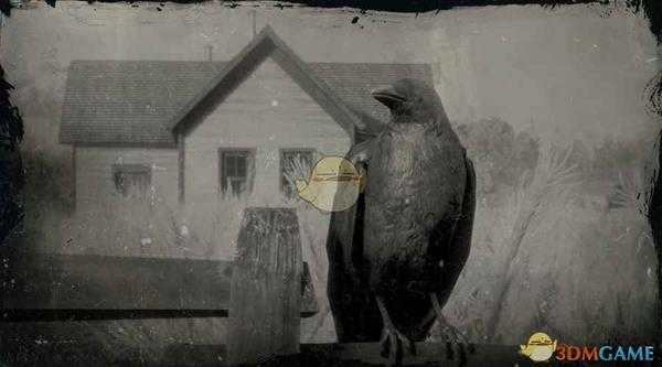 《荒野大镖客2》美洲乌鸦图鉴一览