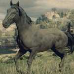 《荒野大镖客2》黑色毛色美国标准种马属性一览