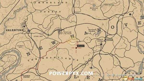 《荒野大镖客2》边境牧羊犬图鉴一览