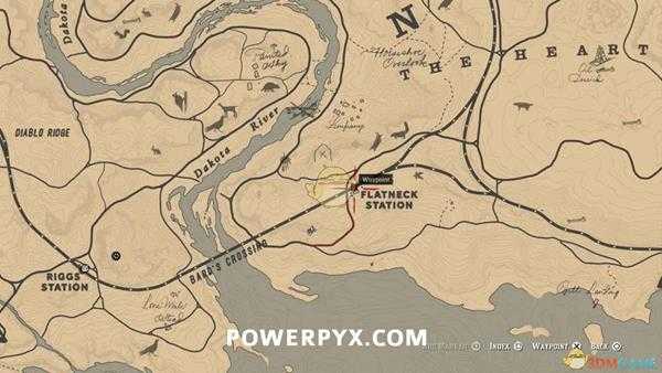 《荒野大镖客2》切萨皮克湾寻回犬图鉴一览