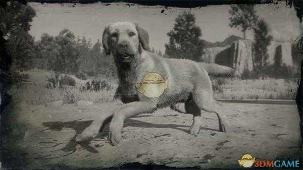 《荒野大镖客2》鲁弗斯图鉴一览