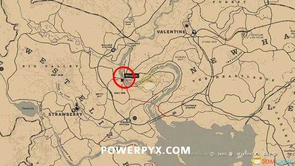 《荒野大镖客2》金雕图鉴一览