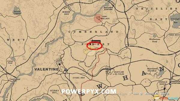 《荒野大镖客2》美国灰狐图鉴一览