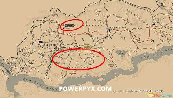 《荒野大镖客2》领西猯图鉴一览