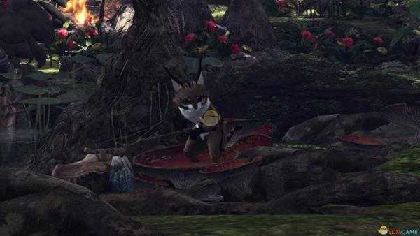 《怪物猎人：世界》森林虫笼族观察委托金牌指南