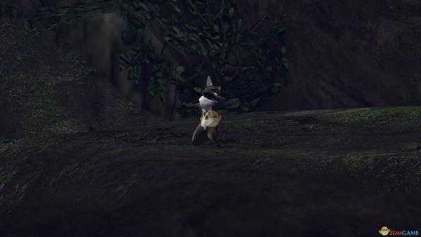 《怪物猎人：世界》森林虫笼族观察委托金牌指南