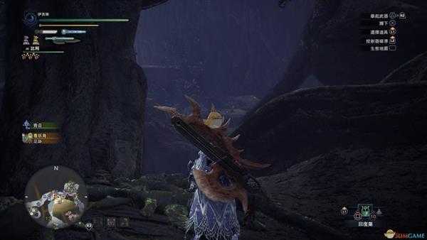 《怪物猎人：世界》森林虫笼族观察委托金牌指南