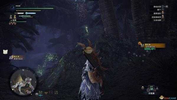 《怪物猎人：世界》森林虫笼族观察委托金牌指南