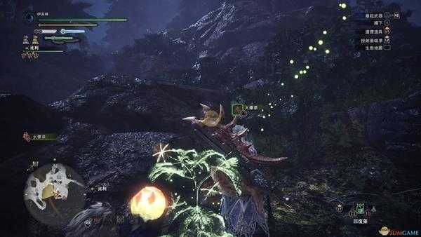 《怪物猎人：世界》森林虫笼族观察委托金牌指南