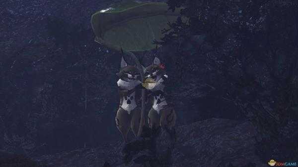 《怪物猎人：世界》森林虫笼族观察委托金牌指南