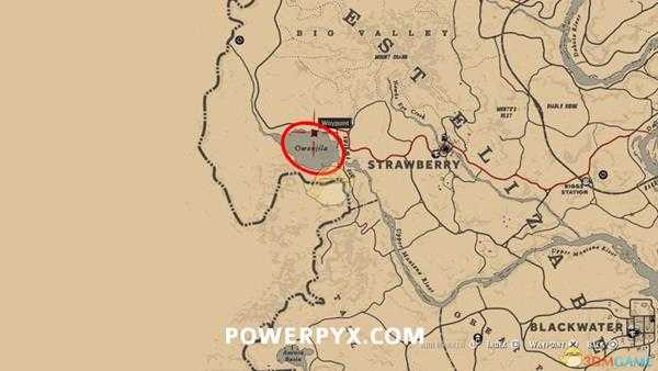 《荒野大镖客2》普通潜鸟图鉴一览