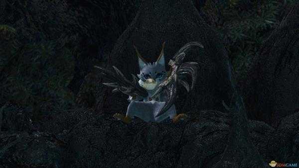 《怪物猎人：世界》山谷掠夺族观察委托金牌指南