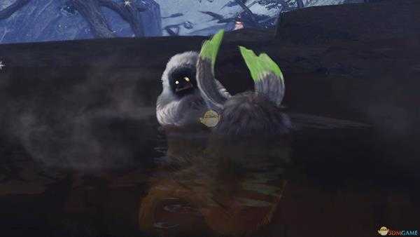 《怪物猎人：世界》兽缠族观察委托金牌指南