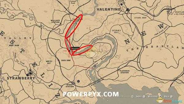 《荒野大镖客2》美国麝鼠图鉴一览