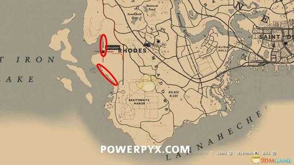 《荒野大镖客2》美洲白鹈鹕图鉴一览