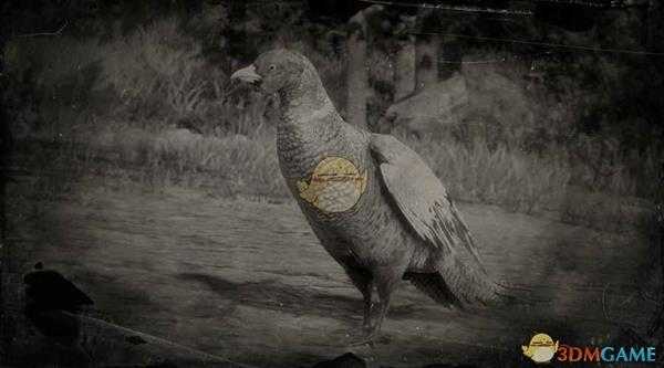 《荒野大镖客2》环颈雉图鉴一览