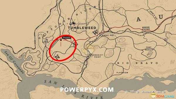 《荒野大镖客2》沙漠公盘羊图鉴一览