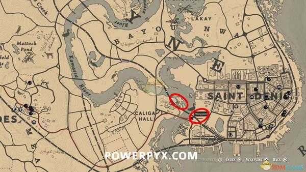 《荒野大镖客2》黑鼠图鉴一览