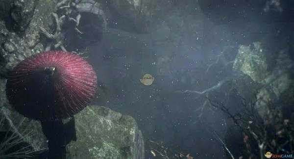 《只狼：影逝二度》暴力抓鱼方法分享