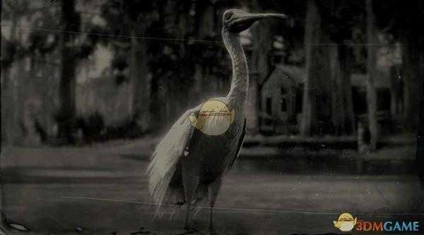 《荒野大镖客2》玫瑰琵鹭图鉴一览