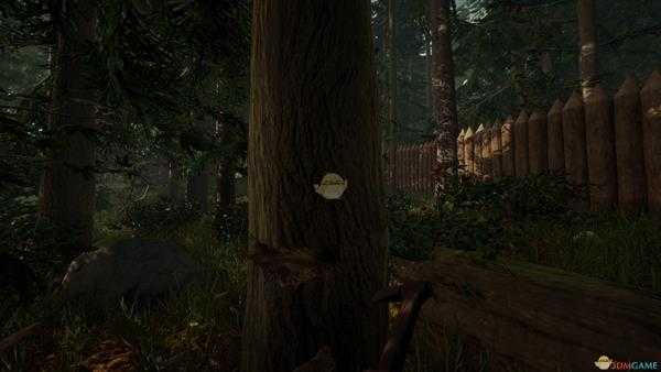 《森林》蝙蝠作用介绍