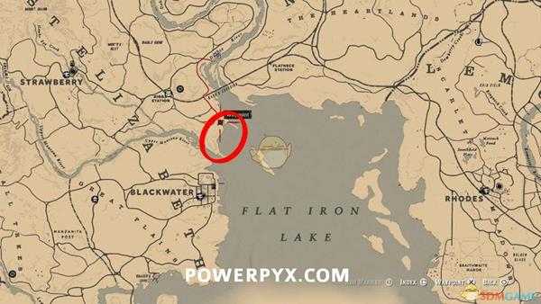 《荒野大镖客2》环嘴鸥图鉴一览