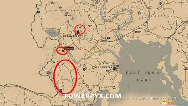 《荒野大镖客2》条纹臭鼬图鉴一览