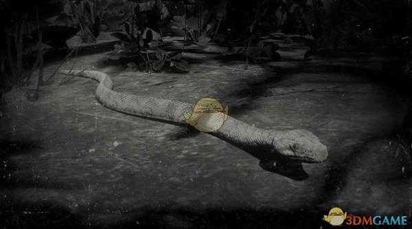 《荒野大镖客2》彩虹蟒蛇图鉴一览