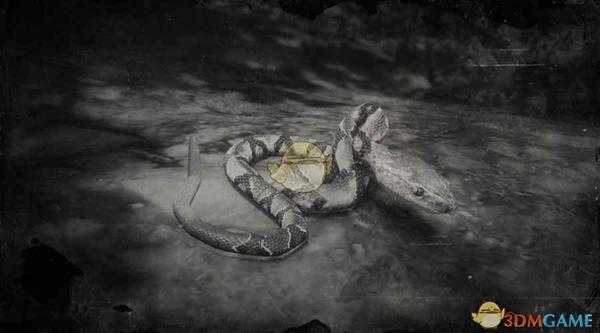 《荒野大镖客2》北部铜斑蛇图鉴一览