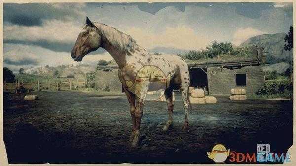 《荒野大镖客2》棕色豹斑毛色阿帕卢萨马属性一览