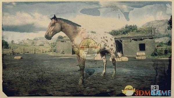 《荒野大镖客2》豹纹毯斑毛色阿帕卢萨马属性一览