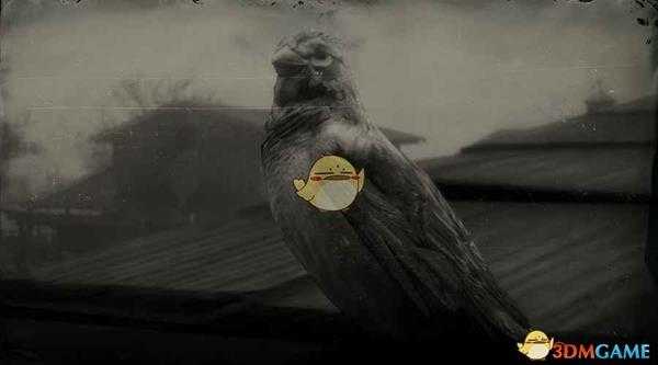 《荒野大镖客2》美洲树雀鹀图鉴一览