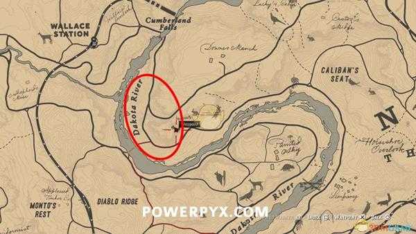 《荒野大镖客2》美国红松鼠图鉴一览