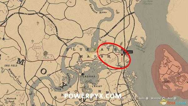 《荒野大镖客2》北美西部蟾蜍图鉴一览