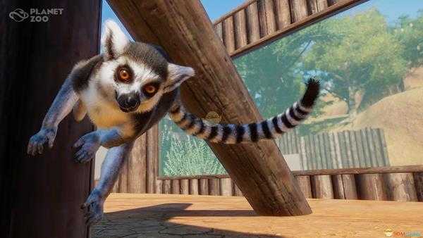 《动物园之星》小型动物售卖途径分享