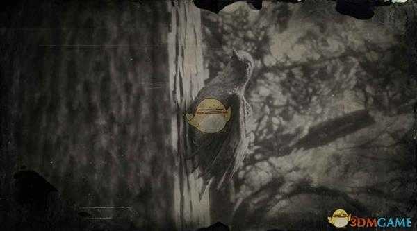 《荒野大镖客2》红腹啄木鸟图鉴一览