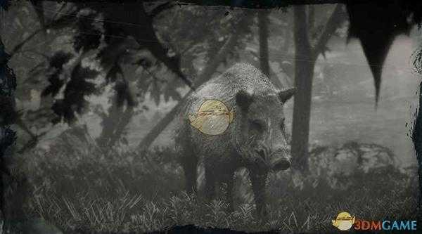 《荒野大镖客2》传说野猪图鉴一览